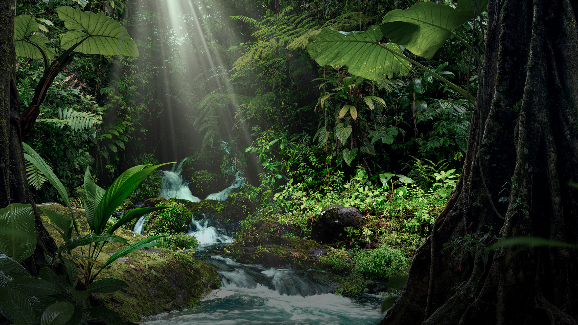 年齢を超えて常に躍動し、輝き続ける人生「アクティブエイジング」を価値として提供し続けます