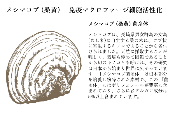 honsoureishihoushi_08