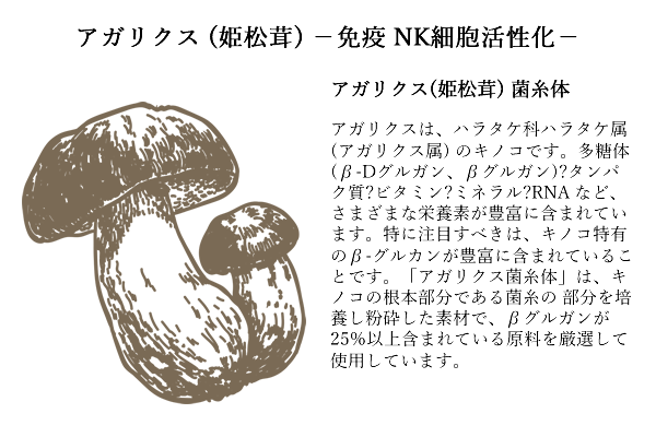 honsoureishihoushi_09