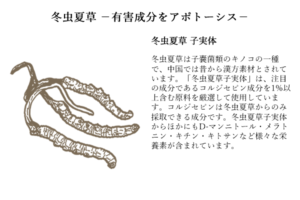 honsoureishihoushi_10