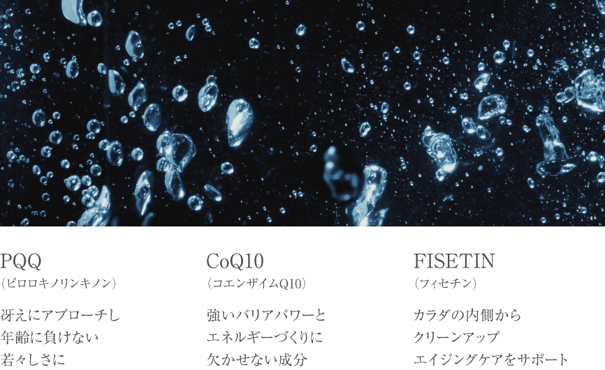 PQQ・コエンザイムQ10・フィセチン配合