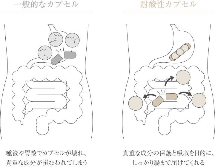 胃酸に強い耐酸性カプセル使用