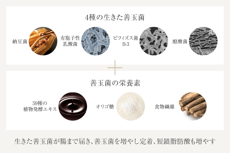「LUXURY PROBIOTICS+」による善玉菌の働き