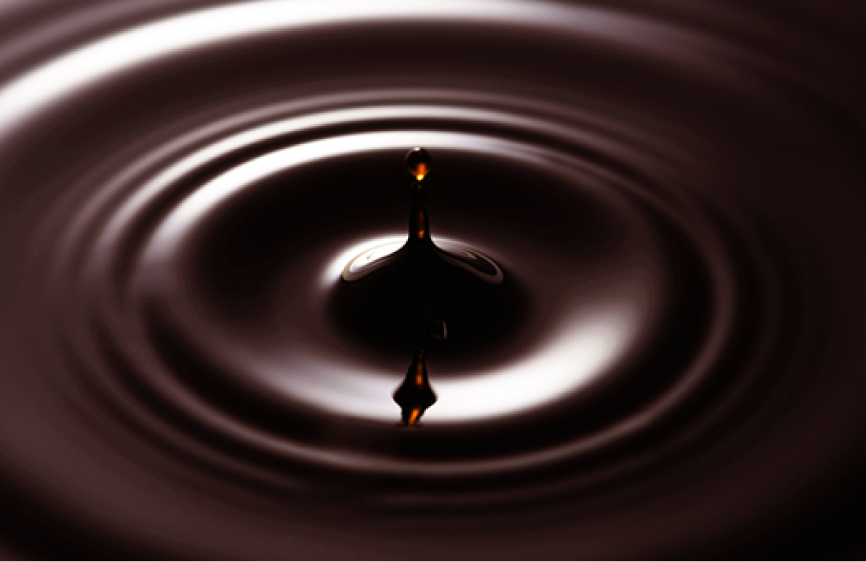 植物発酵エキス末