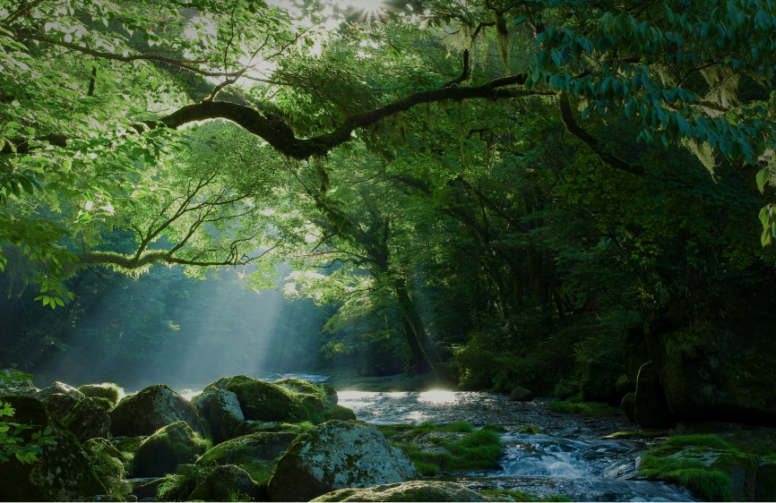 長野県の自然が育んだ、こだわりの原料
